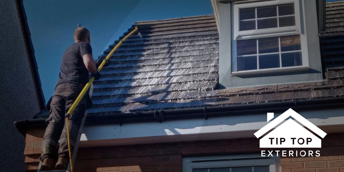 Why you should have your roof cleaned | Tip Top Exteriors